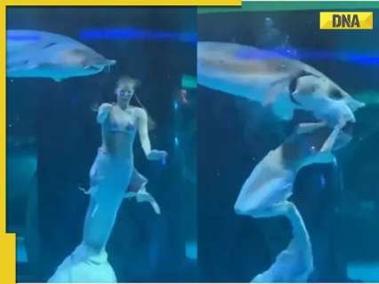 Viral video: Giant fish attacks woman performing as mermaid at Chinese aquarium, WATCH