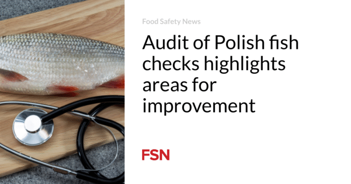 Audit of Polish fish checks highlights areas for improvement