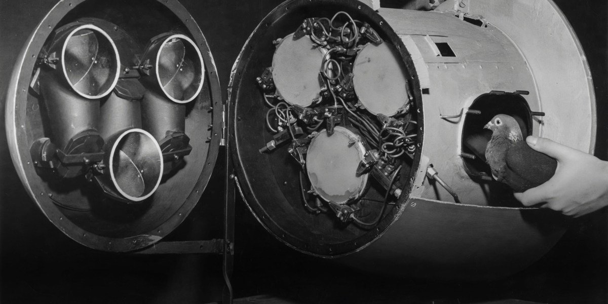 The Download: pigeons’ role in developing AI, and Native artists’ tech interpretations