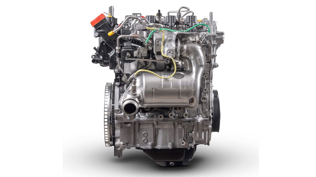 Random: Horse Goes Racing In Brazil