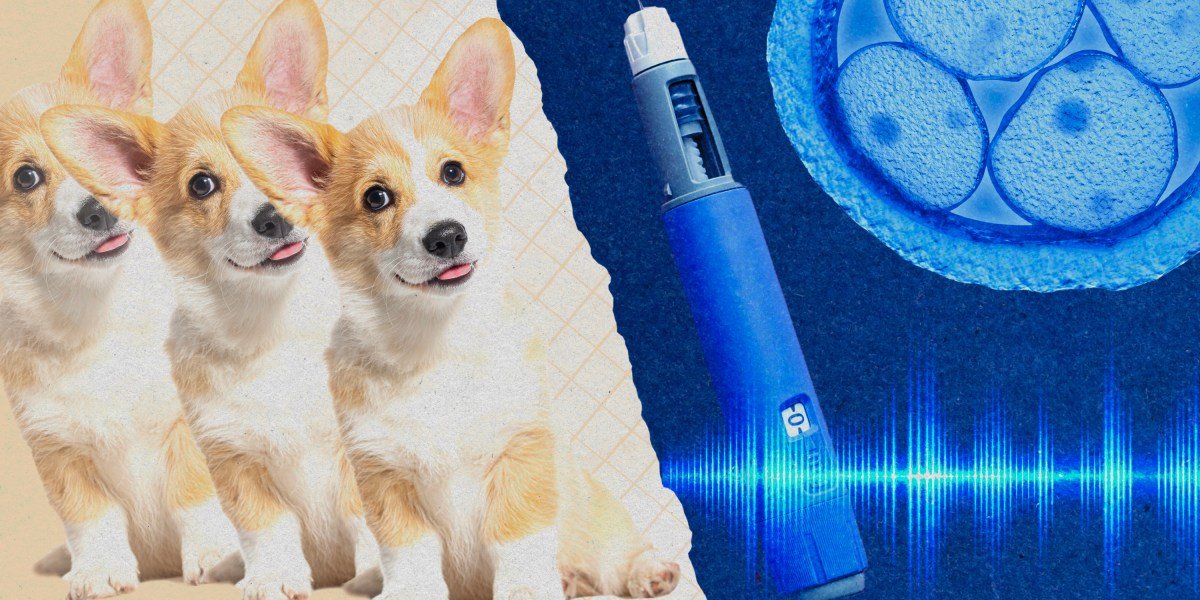 Take our quiz on the year in health and biotechnology